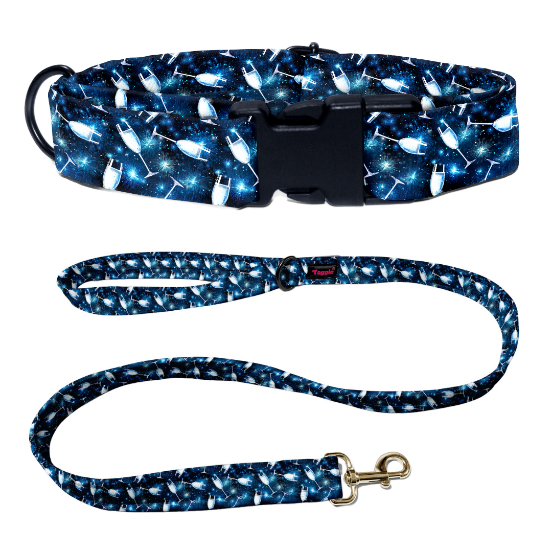 Navy Pop Party Collar -Leash