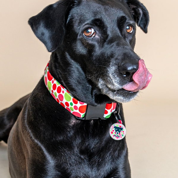 Best fabric for personalised dog collars - soft, safe and stylish!