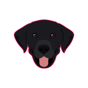 Labrador Black