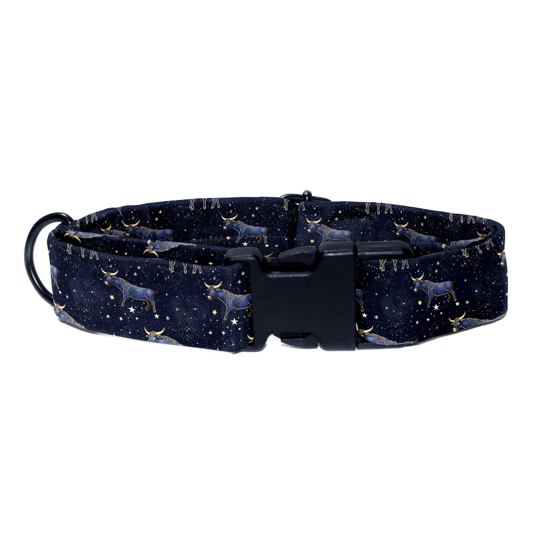 Taurus - Collar & Tag