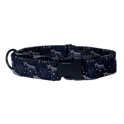 Taurus - Collar & Tag