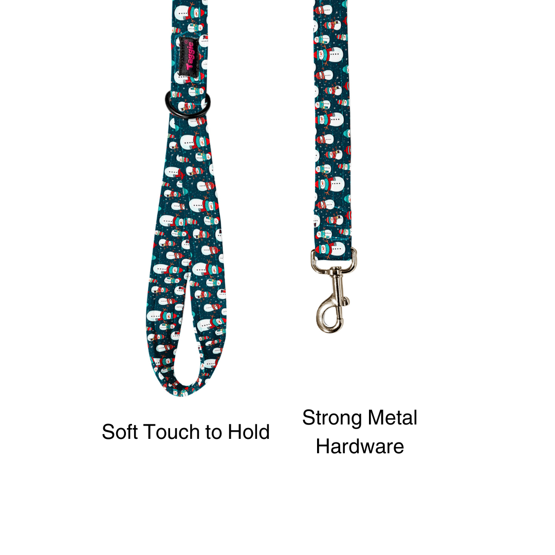 Frosty Friend Collar-Leash