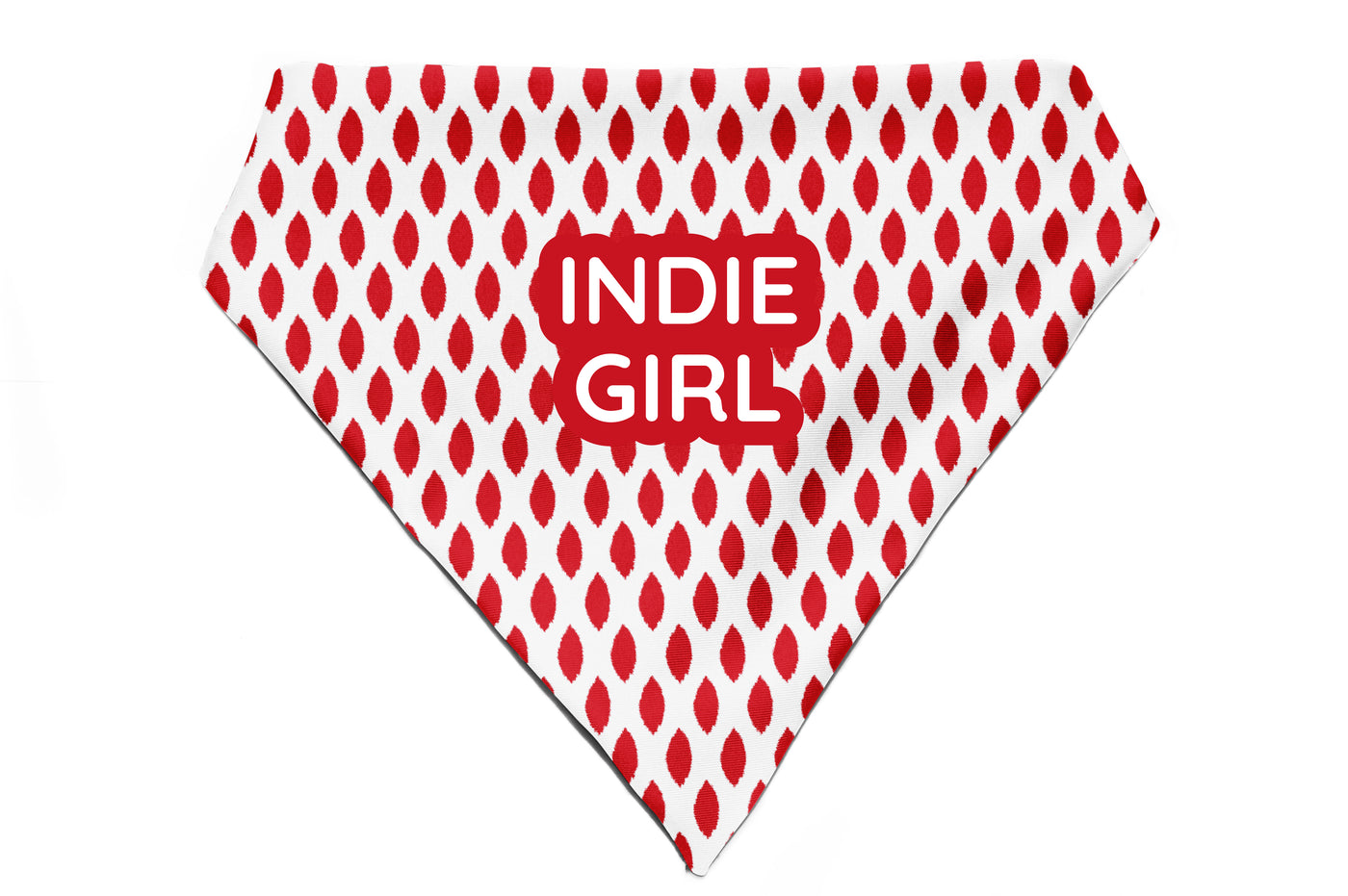 Paisley Pride - Bandana