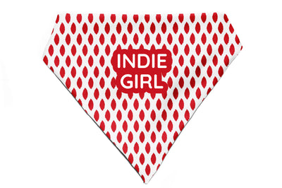 Paisley Pride - Bandana