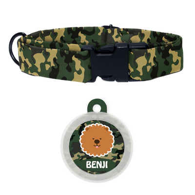 Chow Chow - Collar & Tag