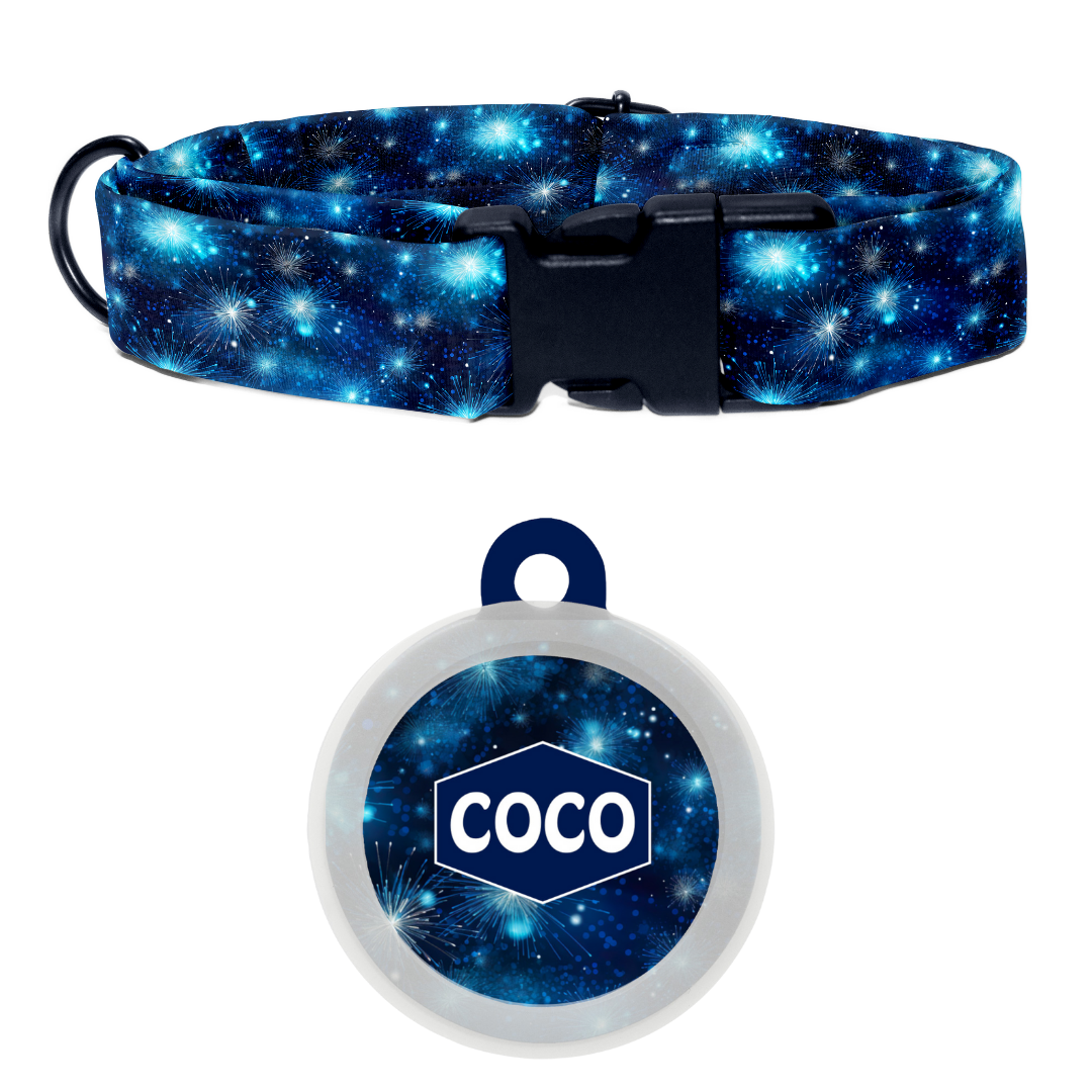 Bubbly Blue - Collar & Tag