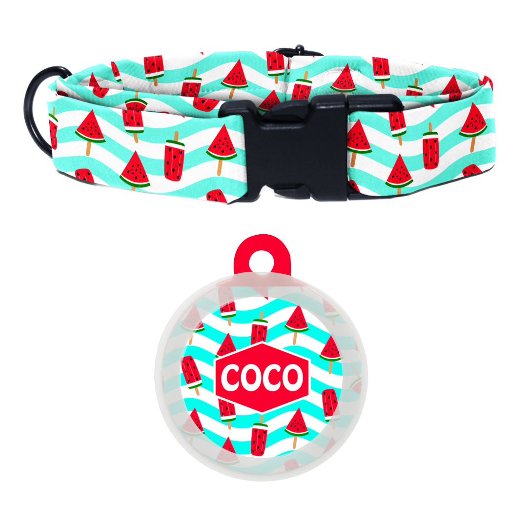 Slice of Summer - Collar & Tag