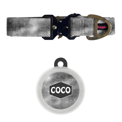 Shimmering Night  - Collar & Tag