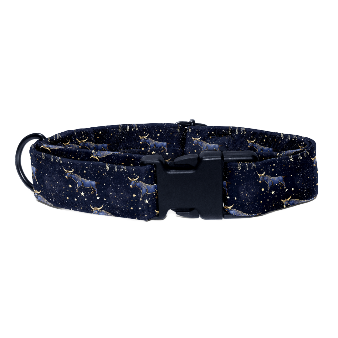 Taurus Collar -Leash