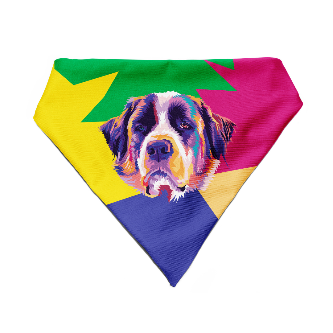 Saint Bernard - Bandana