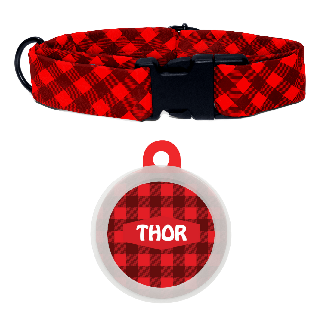 Checked Christmas Charm- Collar & Tag
