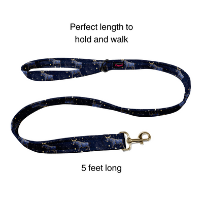 Taurus Collar -Leash