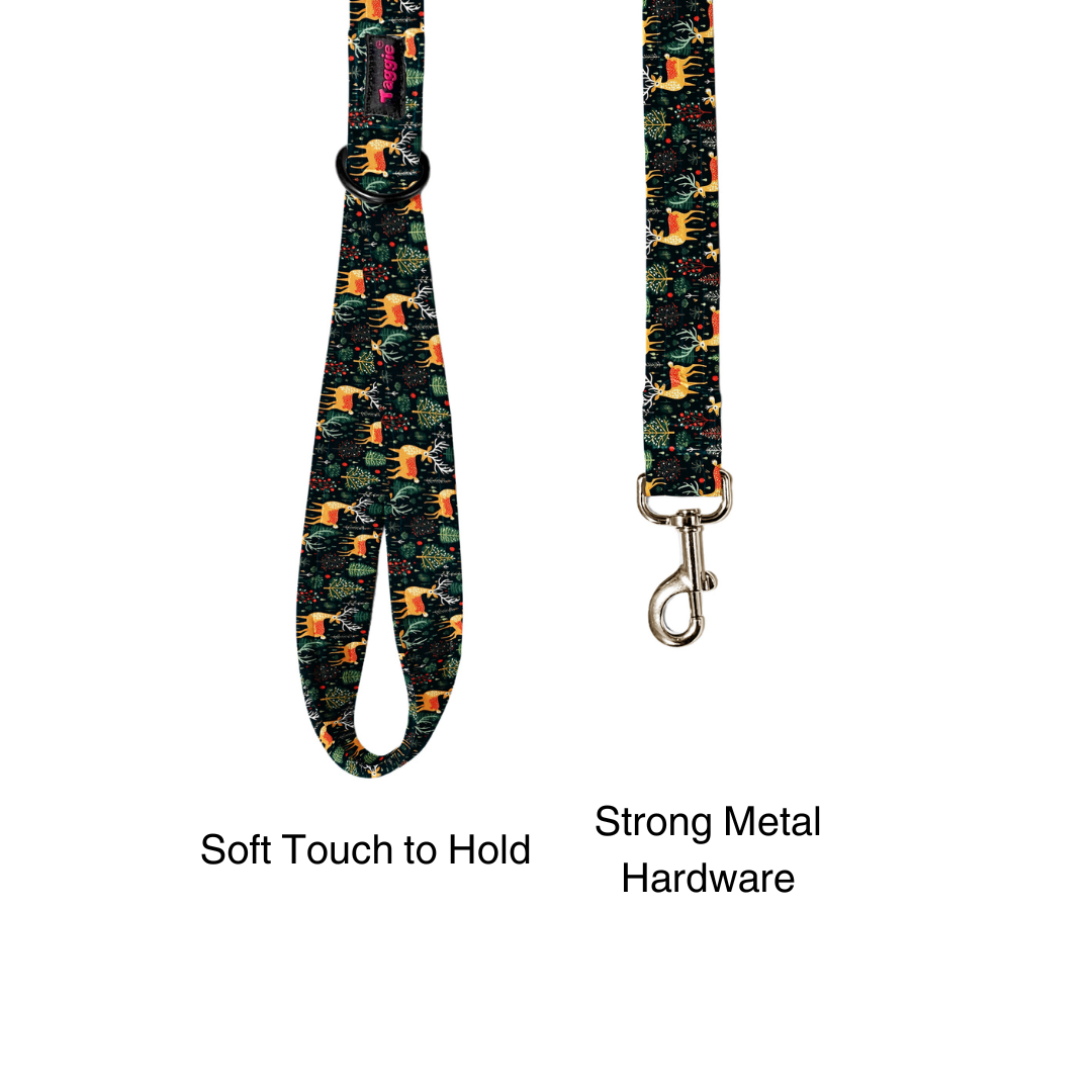 Reindeer Ready Collar-Leash