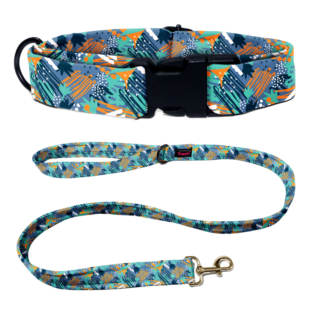 Free Spirit Collar-Leash