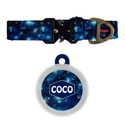 Bubbly Blue - Collar & Tag