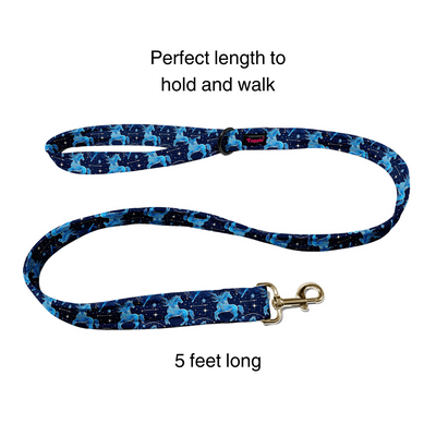 Sagittarius Collar -Leash