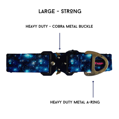 Bubbly Blue - Collar & Tag