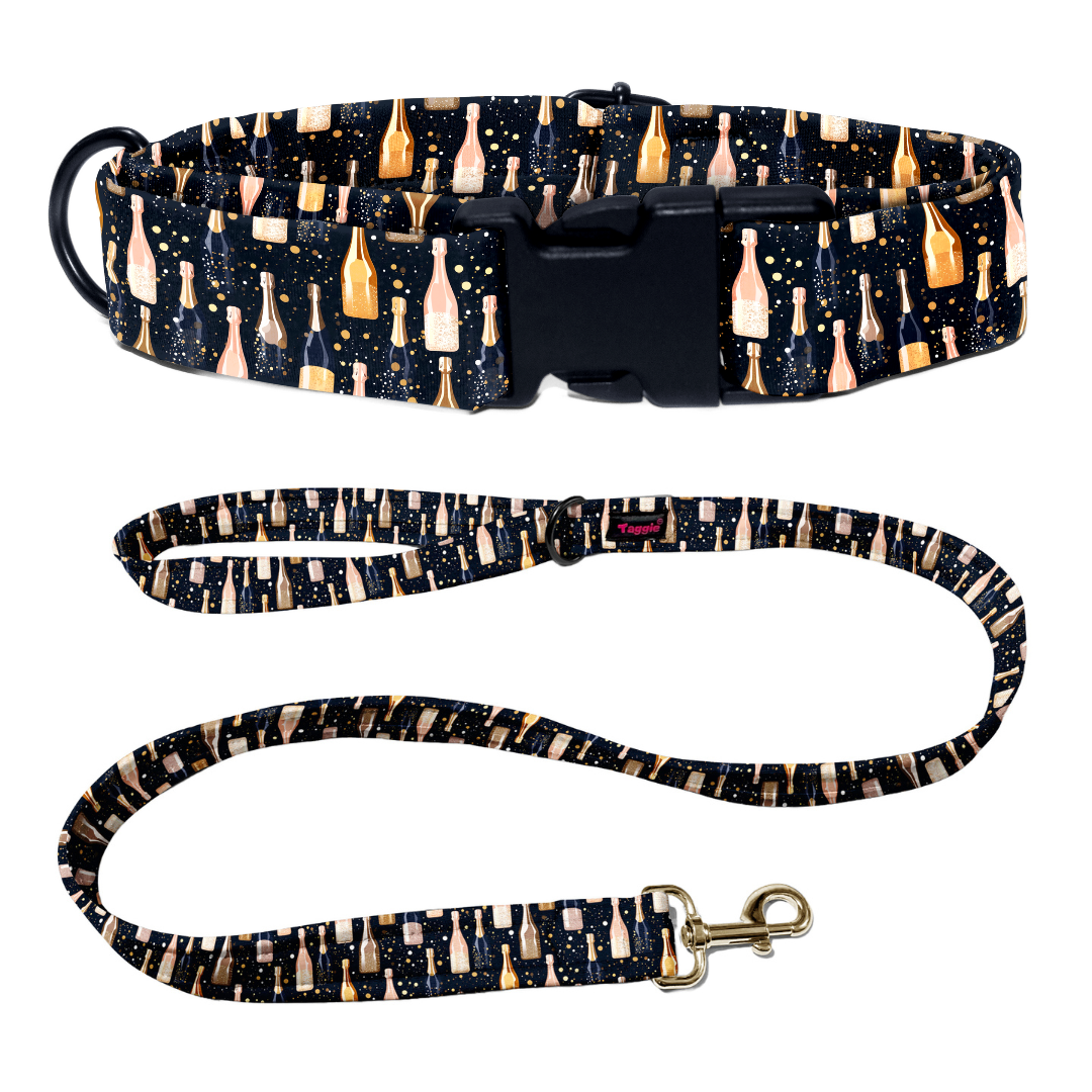 Fizz & Fun Collar -Leash