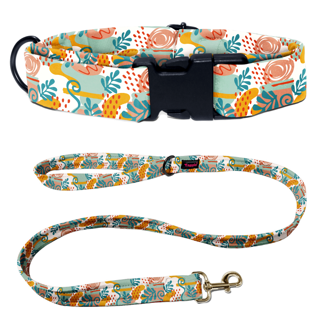 City Chic Collar-Leash