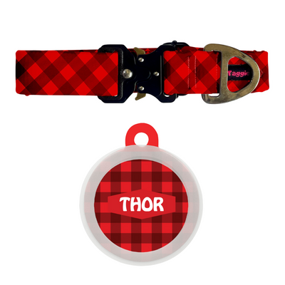 Checked Christmas Charm- Collar & Tag