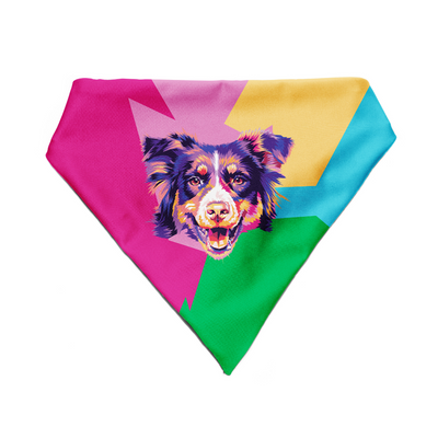 Border Collie - Bandana