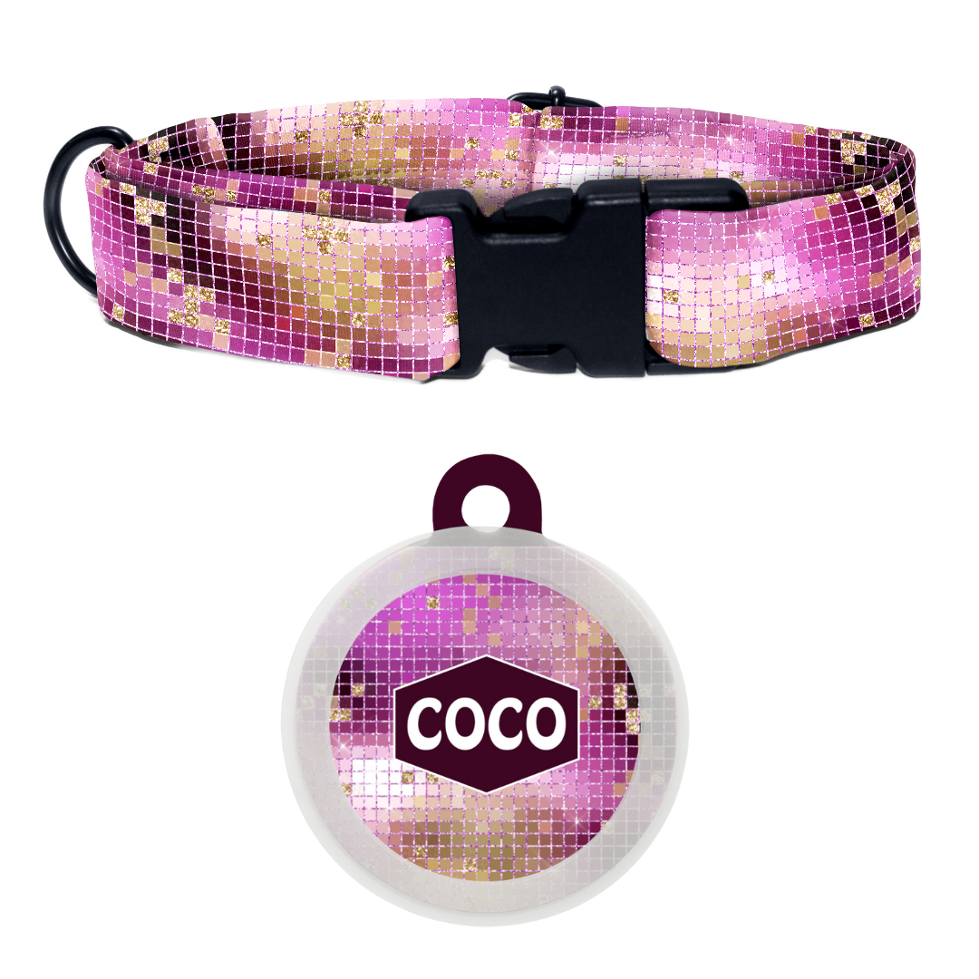 Glitz & Glamour - Collar & Tag