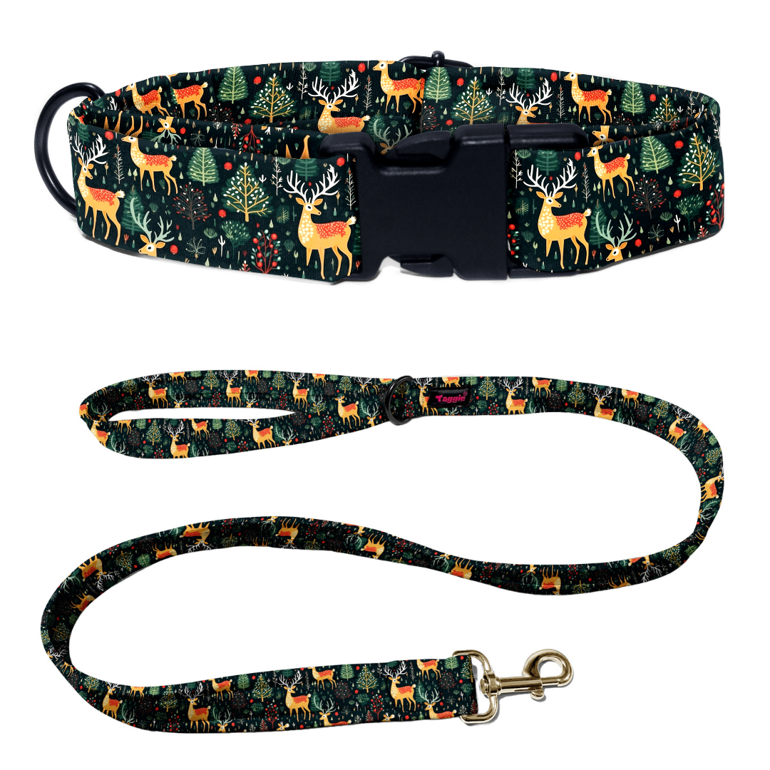 Reindeer Ready Collar-Leash