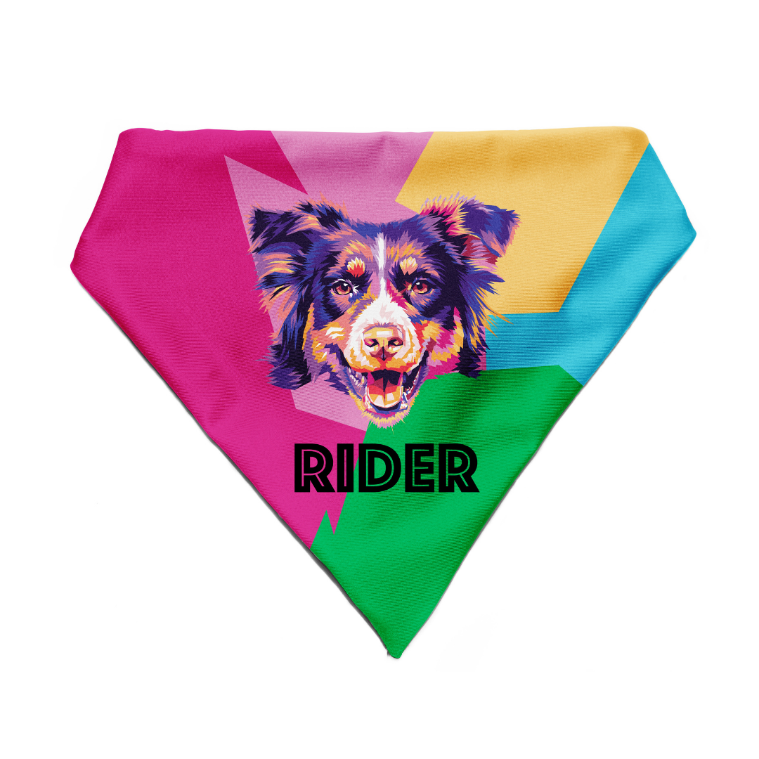 Border Collie - Bandana