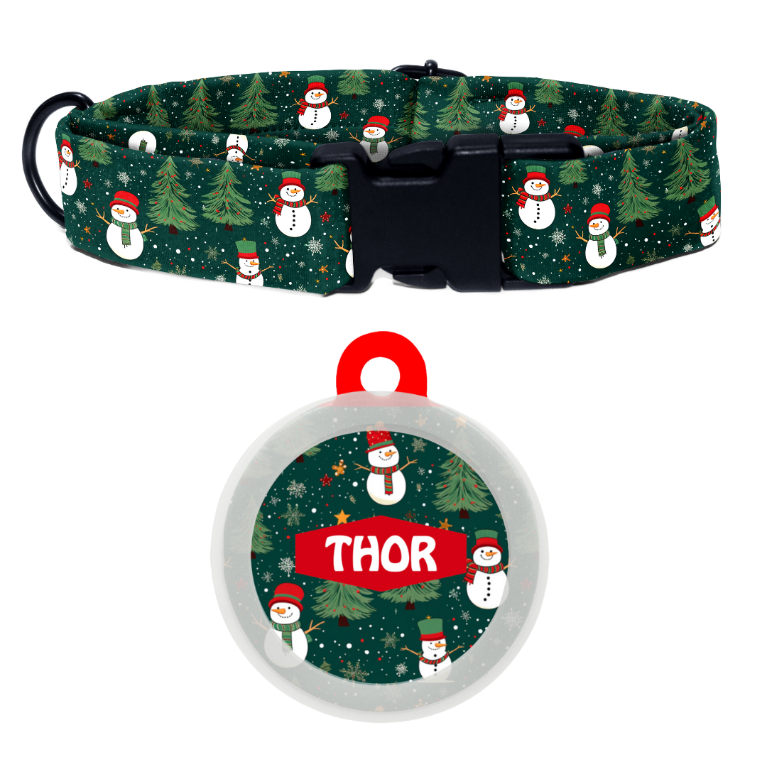 Snowman Snuggle - Collar & Tag