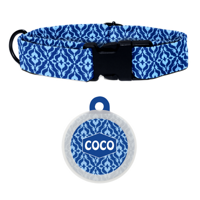 Indigo Charm - Collar & Tag