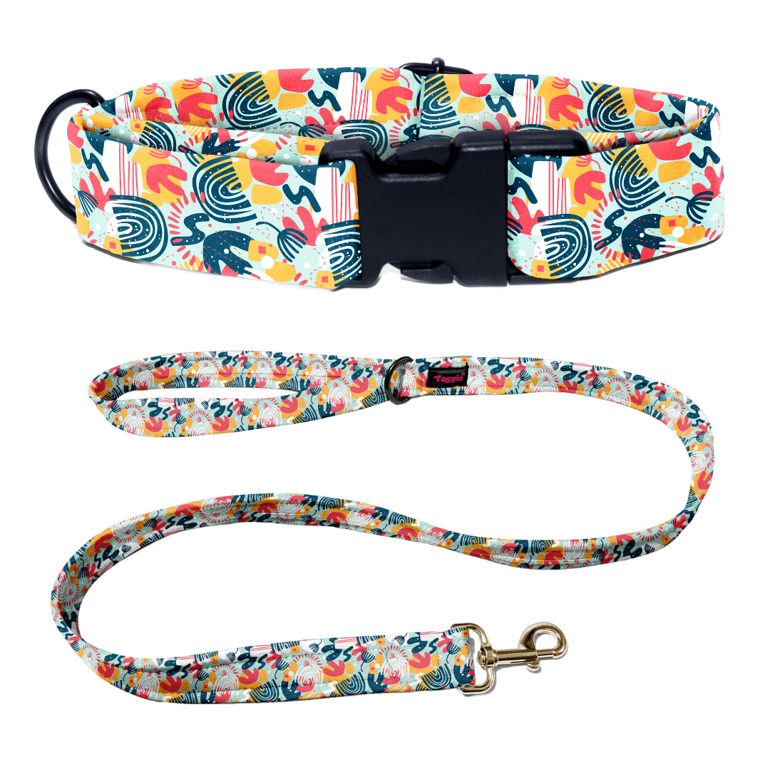 Metro Beats Collar-Leash
