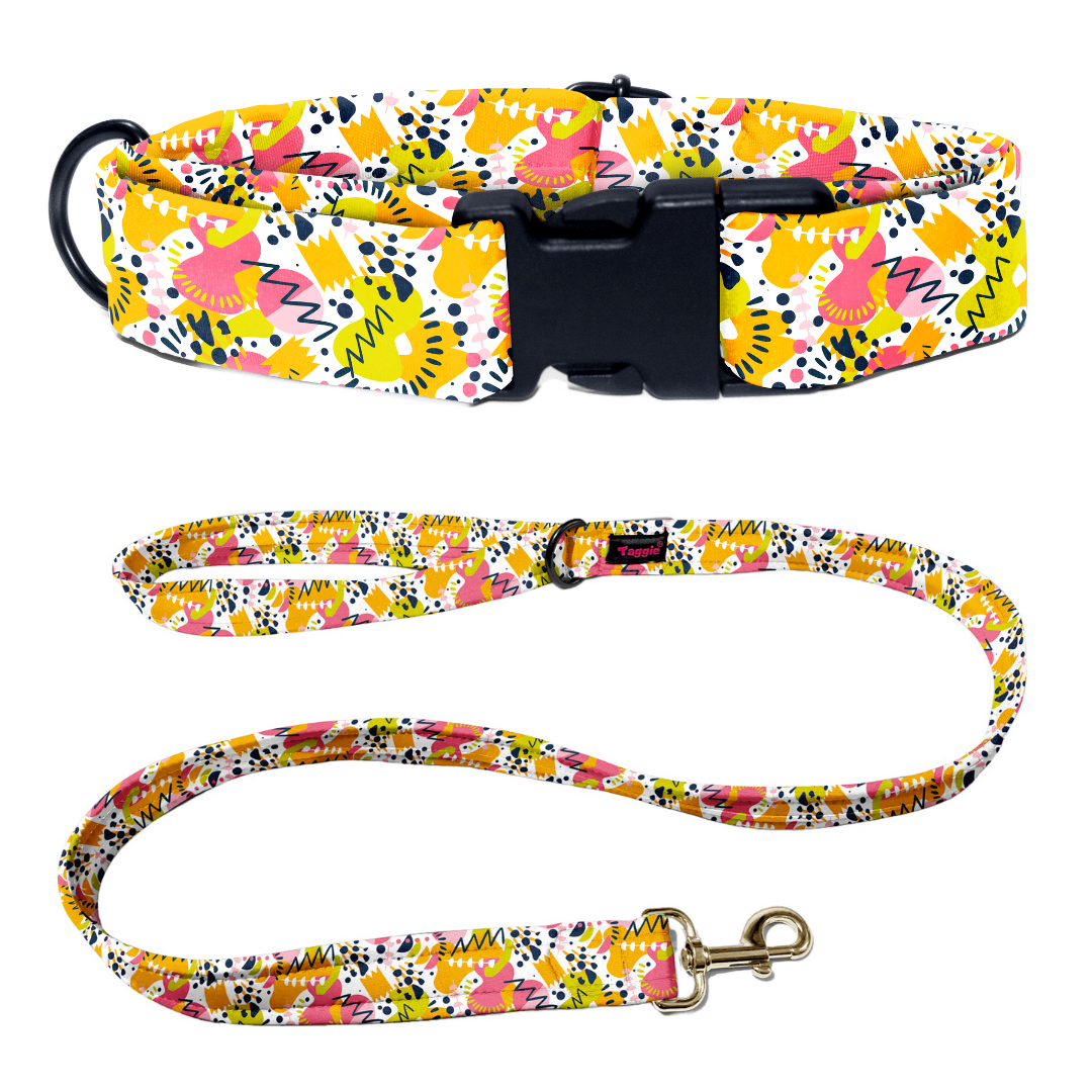 Berry Burst Collar-Leash