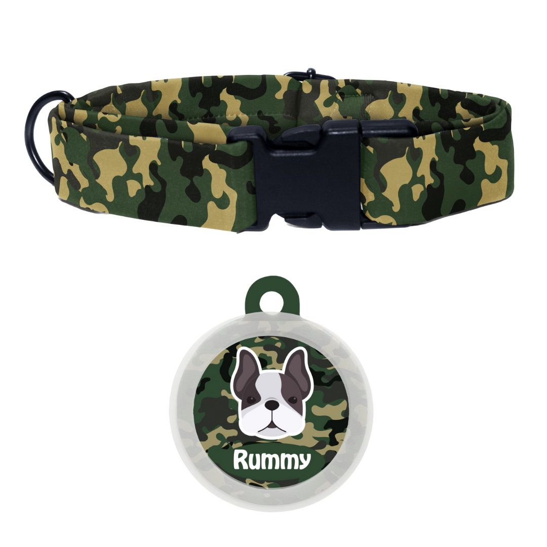 French Bulldog  - Collar & Tag