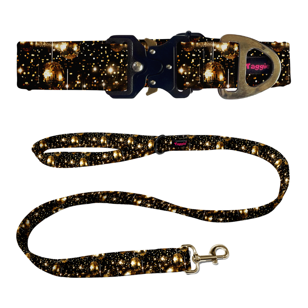 Fireworks Frenzy Collar -Leash