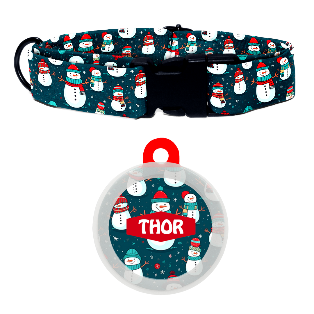 Frosty Friend - Collar & Tag