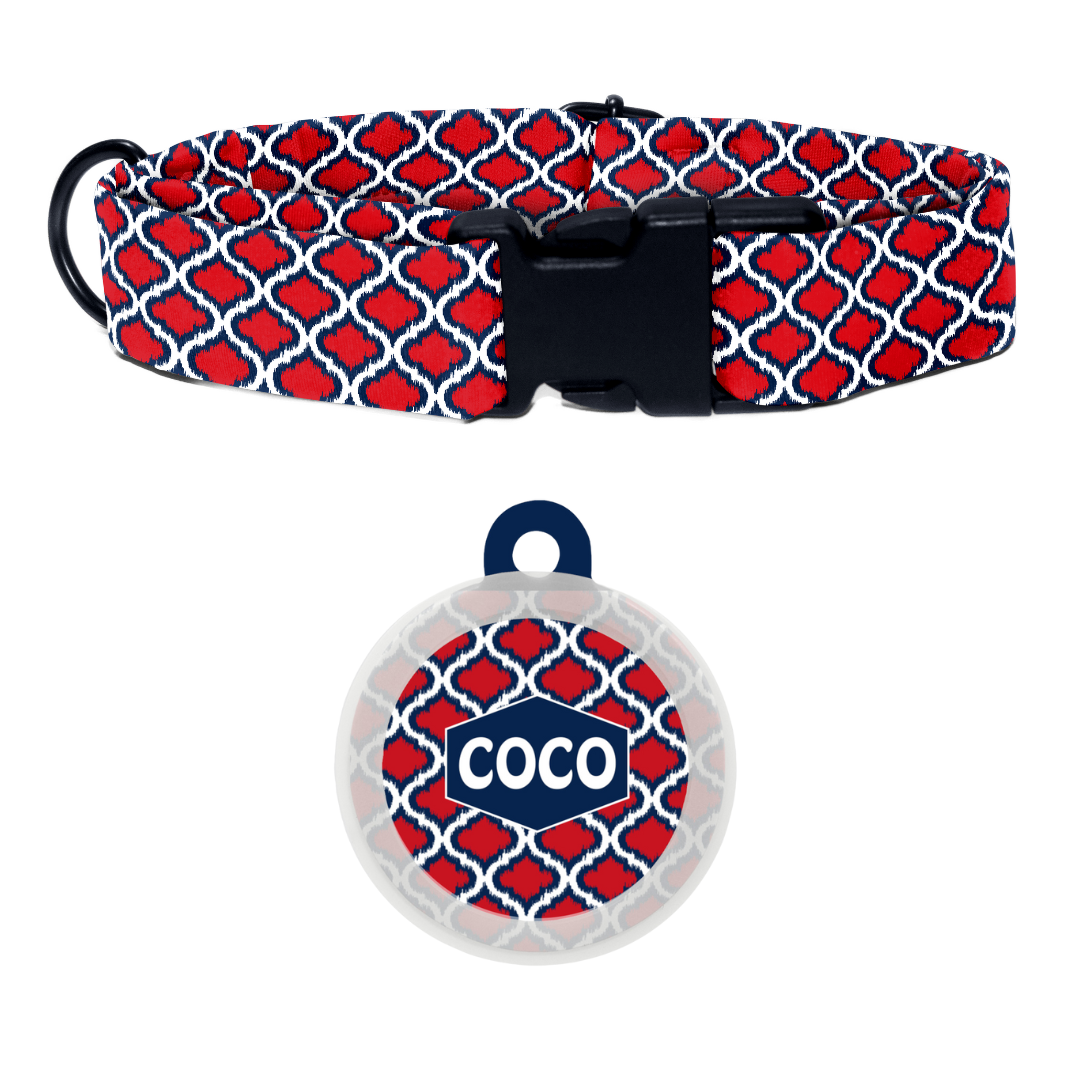 Jodhpur Jewel - Collar & Tag