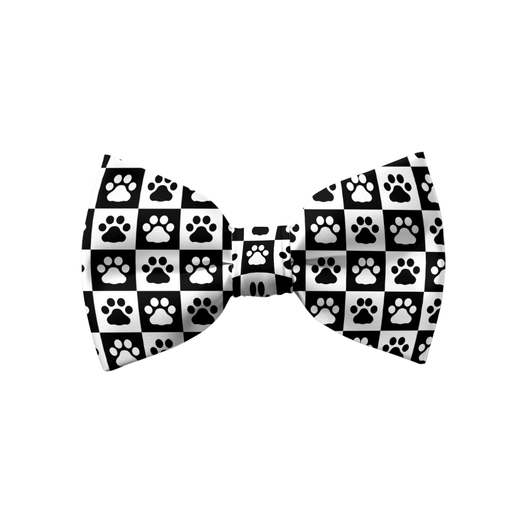 Paws & Boxes - Bow