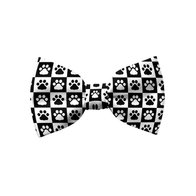 Paws & Boxes - Bow
