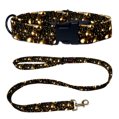 Fireworks Frenzy Collar -Leash