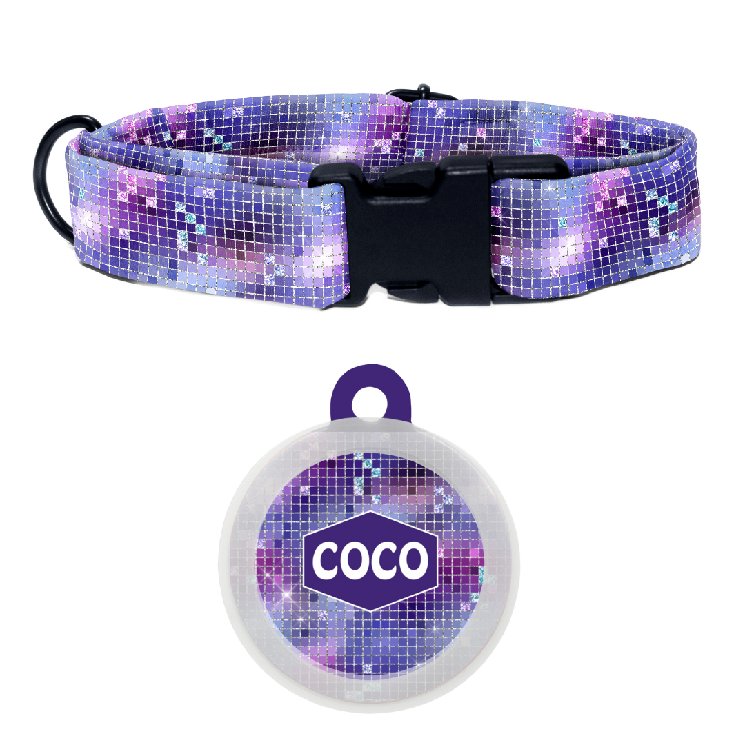 Twinkle Tango - Collar & Tag