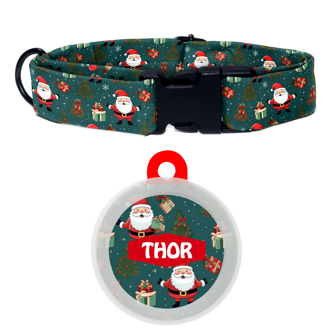 Santa's Style - Collar & Tag