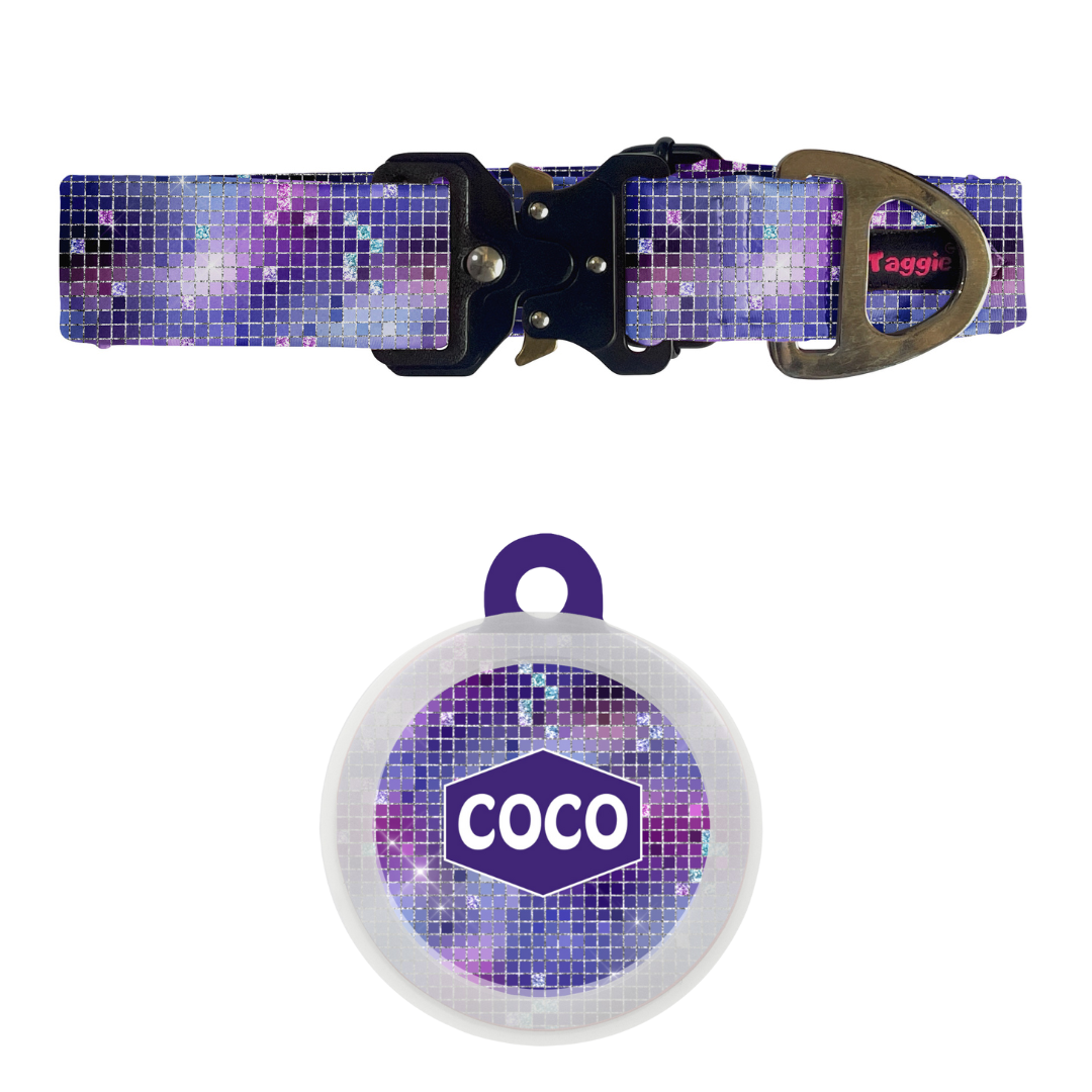Twinkle Tango - Collar & Tag