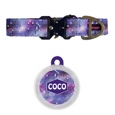 Twinkle Tango - Collar & Tag