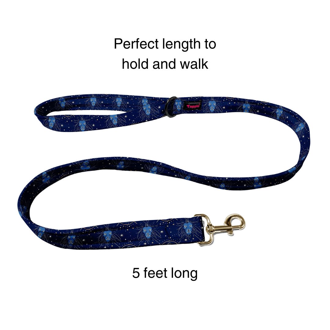 Leo Collar -Leash