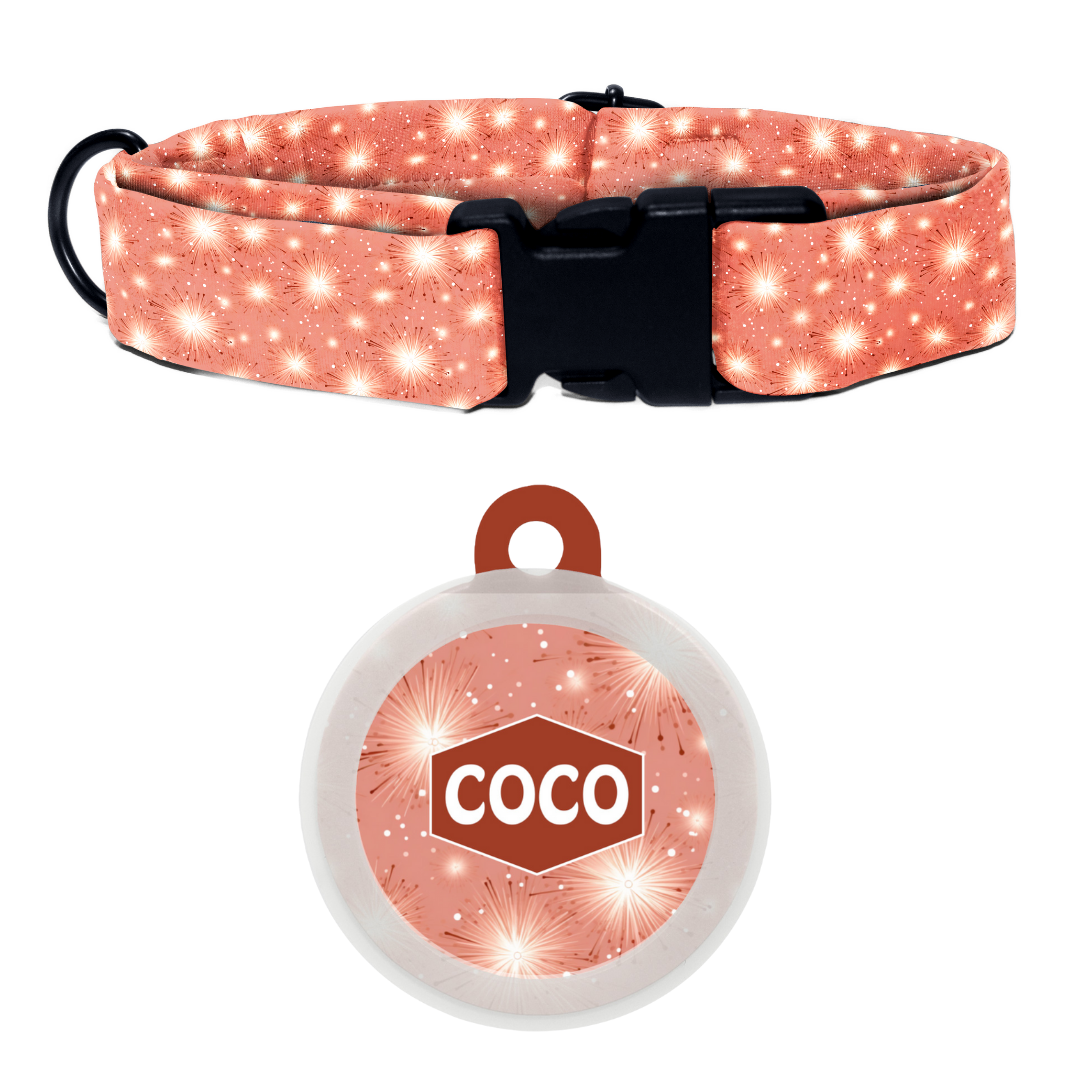 Gala Glamour - Collar & Tag