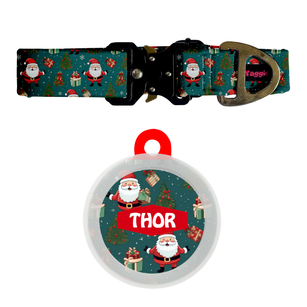 Santa's Style - Collar & Tag