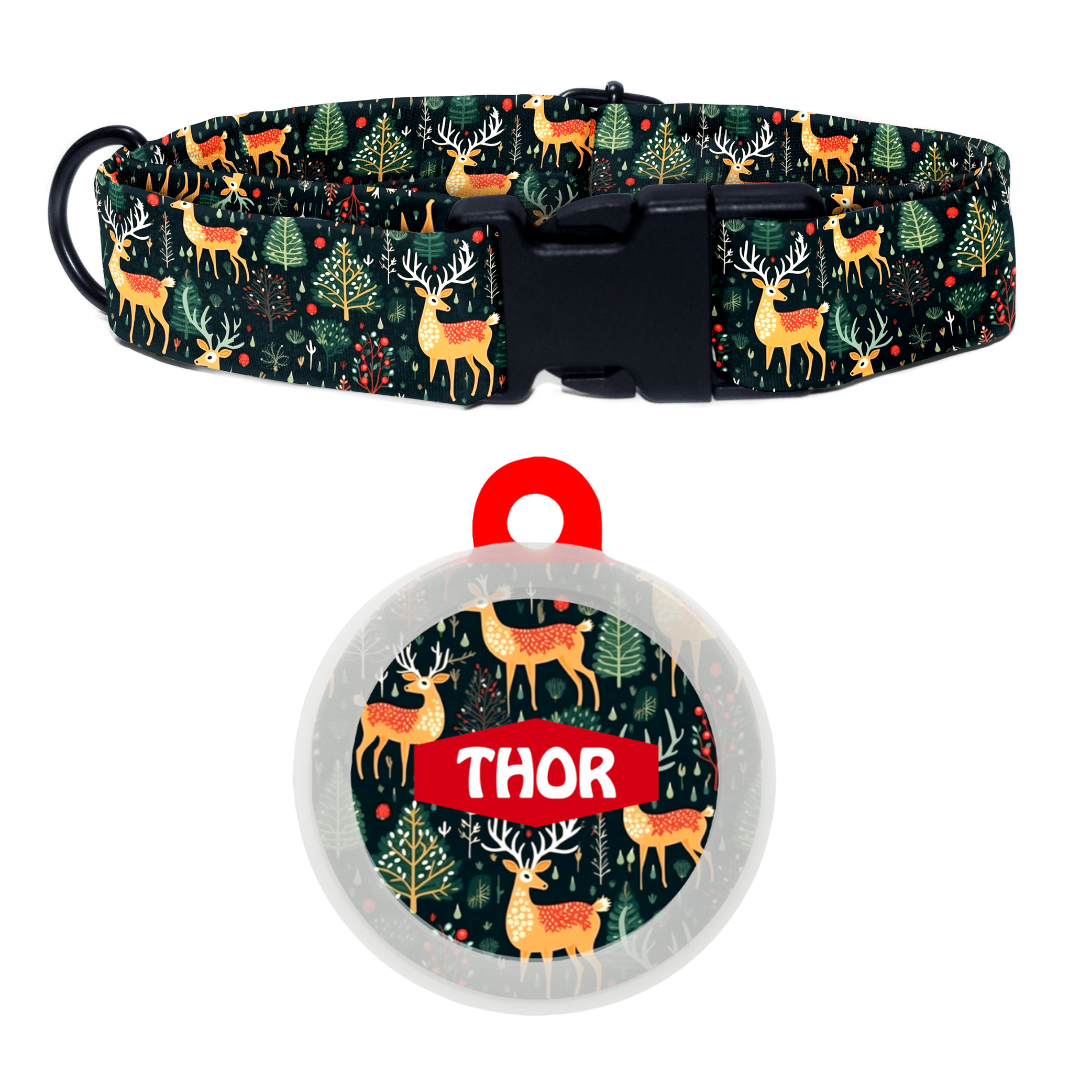 Reindeer Ready - Collar & Tag