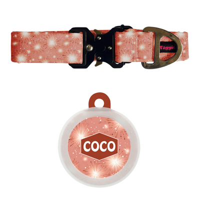 Gala Glamour - Collar & Tag