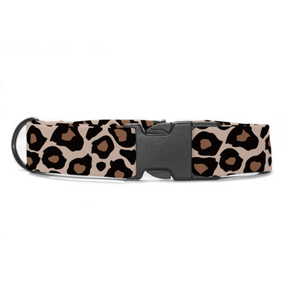 Cheetah Chic - Collar & Tag