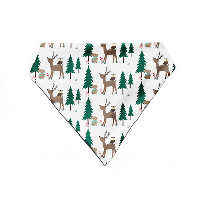 Winter Delight - Bandana
